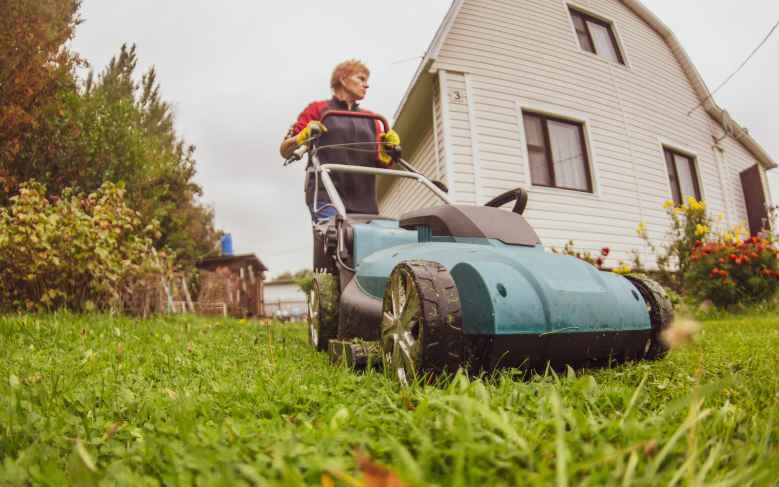 Lawn Mowing in Wollongong, the Illawarra and Sydney